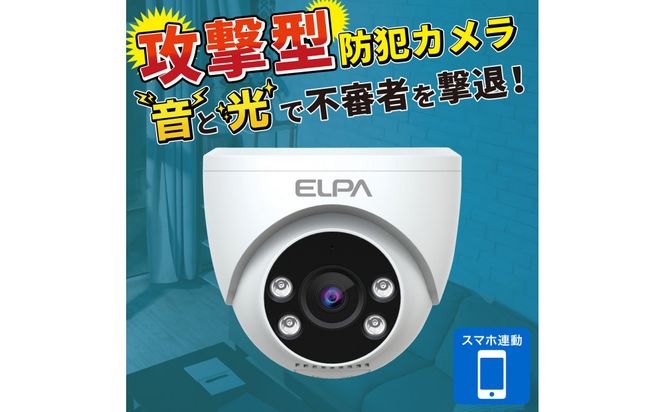 ドーム型カメラ　TBC-DC300 272183_AZ178