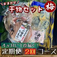 104-2838 【4ヶ月に1回定期便2回】厳選！小田原の旬の干物セット 梅【 まぐろや 神奈川県小田原市 】