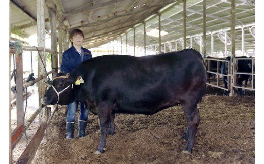 生産牧場指定　近江牛味噌漬け（希少大豆使用の減塩味噌）【100ｇ×4枚】【DM03W1】（国産牛　和牛　ブランド牛　ブランド和牛　黒毛和牛　牛肉　肉　高級　人気　おすすめ　神戸牛　松阪牛 に並ぶ 日本三大和牛 近江牛）