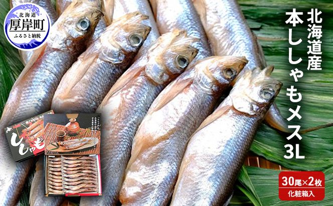 北海道産 本ししゃも メス 3Lサイズ 30尾×2枚 (合計60尾) 化粧箱入 魚貝類 干物 