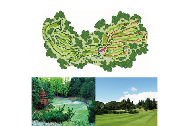 ぜんCC 平日 1名様 プレー券 [ ゴルフ 加東市 兵庫県 関西 ゴルフ場 ] ゴルフ場利用権 