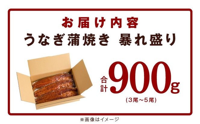 G3616d 【7/26土用の丑の日】うなぎ 蒲焼き 暴れ盛り 合計 900g【鰻 真空パック 簡単調理 訳あり サイズ不揃い 人気 惣菜 うな重 うな丼 ひつまぶし にも】