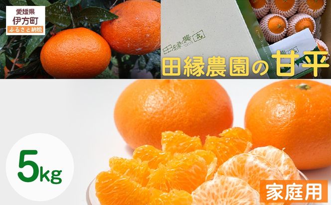 【先行予約】【家庭用】甘平 5kg ※離島への配送不可 （2027年1月25日より順次発送） IKTA031