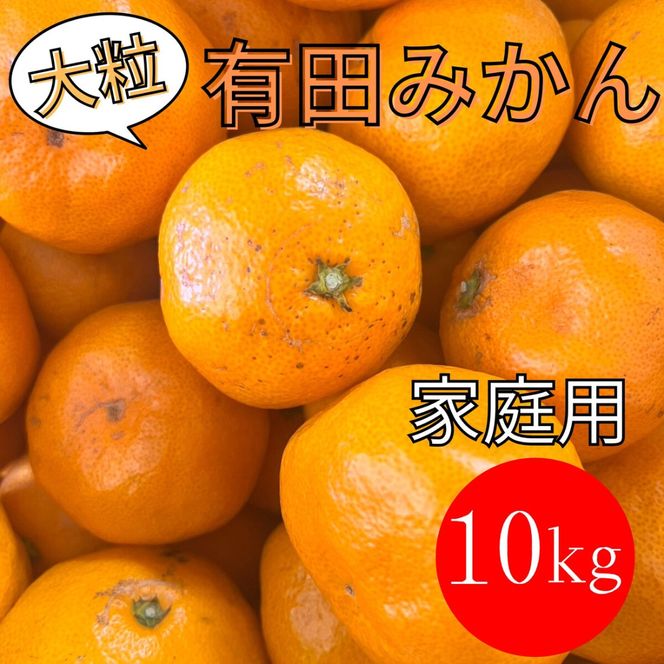 家庭用 大粒有田みかん 10kg (約70個～76個) DJ050
