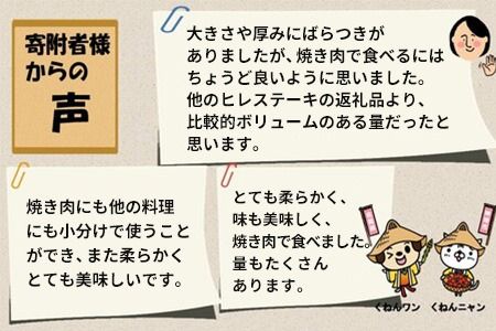 【訳あり】佐賀牛ヒレ焼き肉用600g【牛肉 牛 佐賀牛 不揃い 焼肉 ヒレ 切り落とし 600g】(H065139)