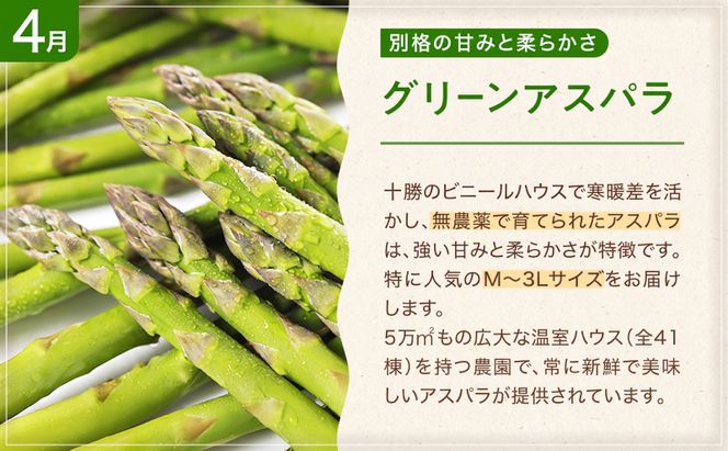 十勝幕別の定期便 お楽しみコース年6回お届け 加工食品 乳製品 チーズ 野菜 とうもろこし じゃがいも 
