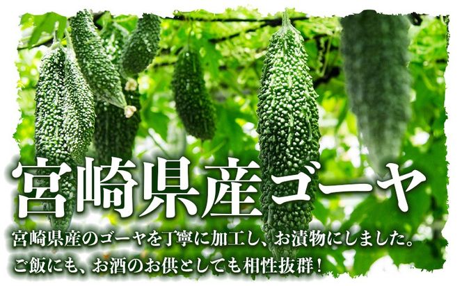 ＜ちょい辛ゴーヤ 2袋＞翌月末迄に順次出荷【お漬物 つけもの おつまみ ピリ辛 かつおぶし かつお節 料理 一品 夕食 お弁当 ご飯に合う 夏野菜 宮崎県産 向栄食品工業 宮崎県 国富町 】【b0972_ko】