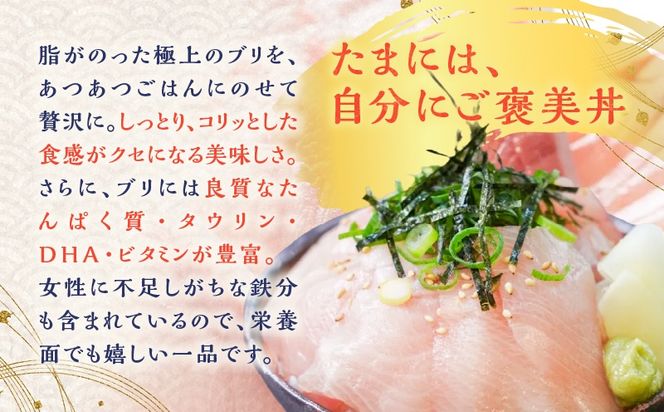鹿児島産 ブリ丼 70g×5セット　K100-013