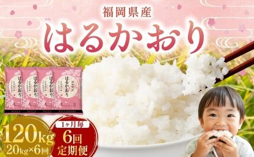 【1ヶ月毎6回定期便】 はるかおり 20kg 計120kg ／ 米 コメ お米 ライス ご飯 ごはん 飯 食品 精米 定期便 常温 福岡県 香春町