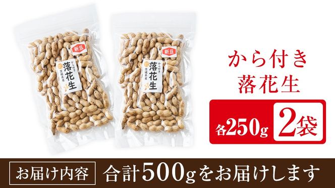から付き落花生 500g （250g×2袋） 煎りざや落花生 おつまみ おやつ ピーナッツ 殻付き ナカテユタカ