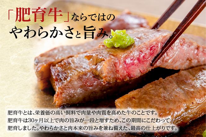【但馬牛 肥育牛 赤身 ステーキ 600g】肥育但馬牛 冷凍 黒毛和牛 ルーツ 香美町 産地直送 国産 牛肉 ステーキ しゃぶしゃぶ すき焼き バーベキュー キャンプ 焼肉 和牛 ふるさと納税 おすすめ 返礼品 但馬 神戸 兵庫県 香美町 村岡 牛将 村岡ファームガーデン 28000円 TJM 02-34
