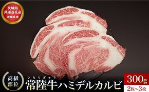 【茨城県共通返礼品】茨城県産 ハミデルカルビ300ｇ
