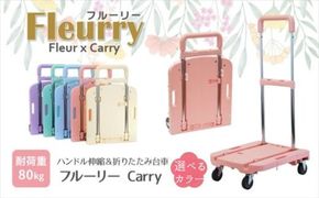 ハンドルが伸縮する台車「フルーリーCarry」