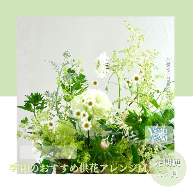 【CF-R7hbk】t172tmf　《3ヵ月定期便》生花アレンジ お供え 供花M 定期便 定期コース 全3回 フラワーアレンジメント そのまま飾れる お供え 花束 生花 仏花 供花 花束 はな 花 法要 お盆 季節のお花 供花 お供え
