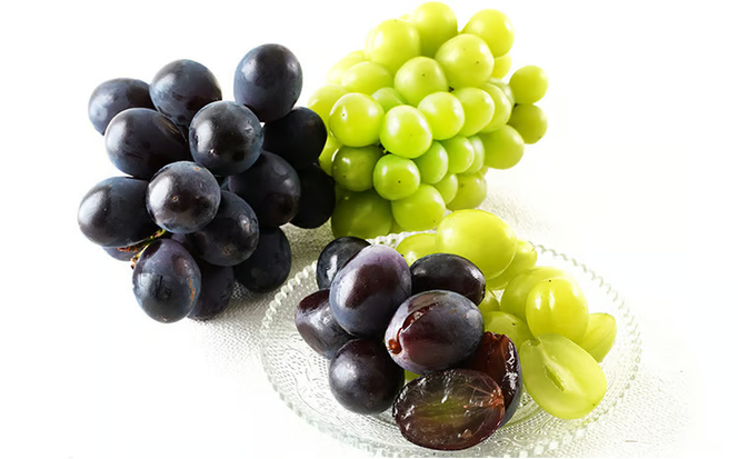 ぶどう 2026年 先行予約 果物 詰合せ ニュー ピオーネ 1房480g以上 シャイン マスカット 晴王 1房 480g以上 化粧箱入り 岡山県産 国産 フルーツ 果物 ギフト 贈答品 フルーツ詰め合わせ 食べ比べ [№5735-1459]