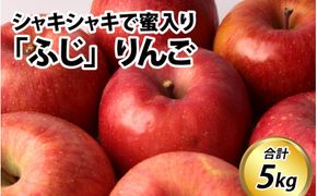 【先行予約】りんご 5kg【2026年12月以降順次発送予定】エコファーマー認定 | 林檎 リンゴ 果物 フルーツ 甘い ふじ 蜜入り 5kg 5キロ