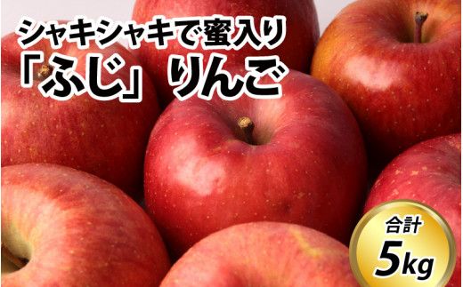 【先行予約】りんご 5kg【2026年12月以降順次発送予定】エコファーマー認定 | 林檎 リンゴ 果物 フルーツ 甘い ふじ 蜜入り 5kg 5キロ