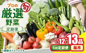 【6回定期便】野菜のプロが選ぶ 旬の野菜セット 12〜13品目 野菜定期便 / 野菜 やさい セット 新鮮 / 南島原市 / 愛2農園[SGG003]