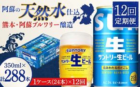 FK7-0143_ 【12回定期便】 サントリー 生ビール トリプル生 350ml ×1ケース (24缶)  熊本県 嘉島町 ビール サン生