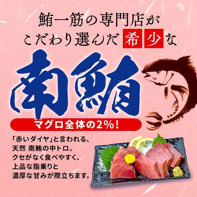 【オンライン決済限定】 【2024年12月配送】訳あり 天然 南マグロ 中トロ 約400g 不定型柵 [PT0014-000004-202412-X2]