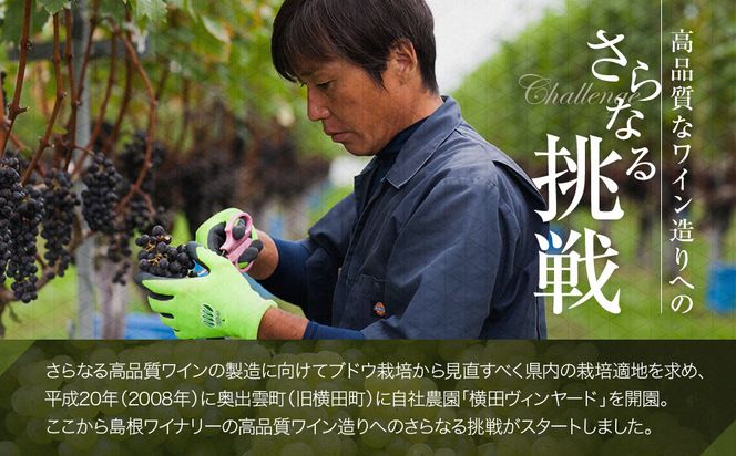 縁結シリーズ白ワイン2本セット 322032_CL008