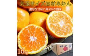 【先行予約】高級ブランド田村みかん　１０kg　大玉サイズ
