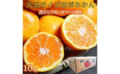 【先行予約】高級ブランド田村みかん　１０kg　大玉サイズ