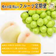 先行予約 晴れの国 岡山のフルーツ 定期便 3回コース 1回目 岡山 白桃6玉 合計約1.2kg／2回目 桃太郎ぶどう２房 合計約1kg／シャインマスカット 2房 合計約1kg