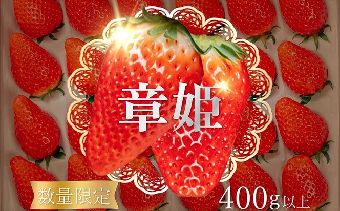 【限定100個】先行予約　京丹後産いちご章姫　400g以上（9～12粒）　いちご、イチゴ、あきひめ、章姫、京丹後、丹後、フルーツ、美食　BF00031