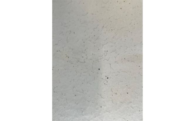 粉引リムプレート20Φ　2枚組 皿 食器 雑貨 日用品 