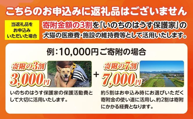保健所犬猫レスキュー【返礼品なしのご寄附】犬 猫 保護 レスキュー 動物愛護 返礼品なし ペット 保護犬 保護猫 支援 応援 ボランティア_kn101-003