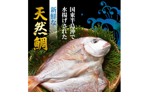 驚愕の大きさ！訳あり天然鯛の一夜干し1.8kg_1554R