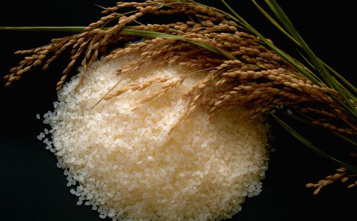 【定期便3カ月間】　令和8年産米　花巻ひとめぼれ5kg　＜5kg×3カ月連続でお届け＝計15kg＞ 【2455】