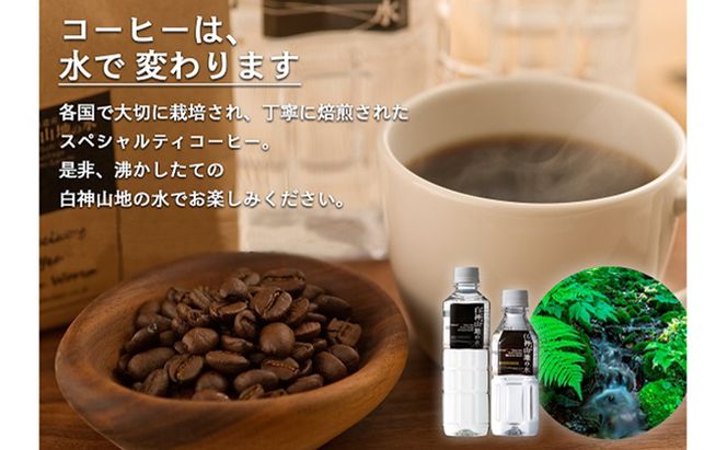 コーヒー 白神山地の水とコーヒー 2種 ギフト セット 水出しコーヒー ドリップコーヒー オールドブレンド ミネラルウォーター 詰め合わせ ドリップ スペシャルティコーヒー ブレンドコーヒー 水出し 自家焙煎 水 希少 プレゼント 贈答 贈答品 青森