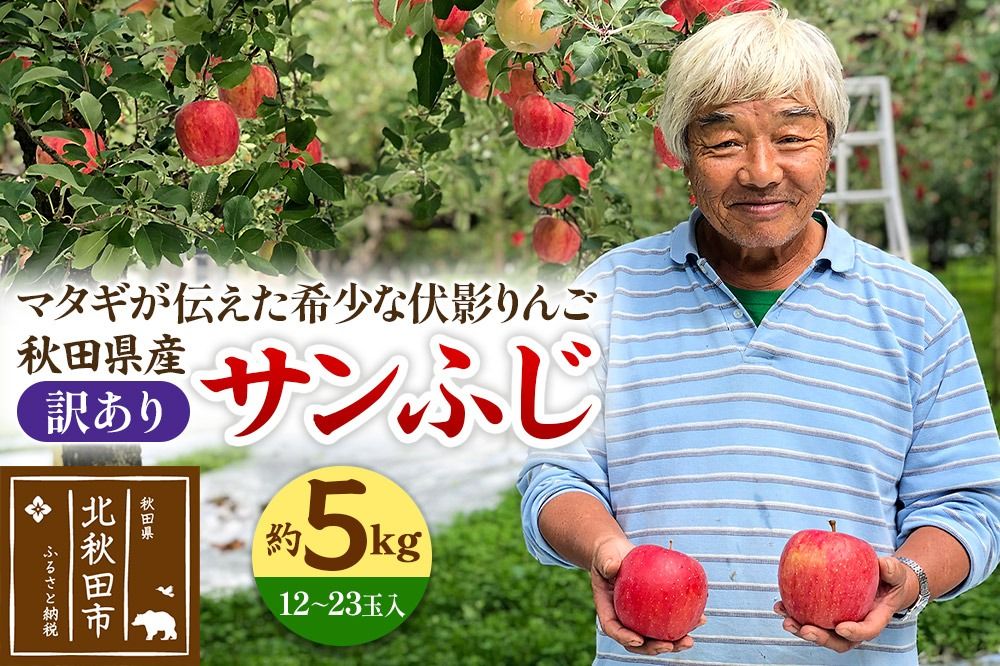 りんご 秋田県産 サンふじ(訳あり) 「伏影りんご」 約5kg (12〜23玉入)|itff-010501