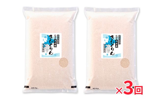 北海道赤平産 きたくりん 10kg (5kg×2袋) 特別栽培米 【3回お届け】 精米 米 北海道 定期便 お米 
