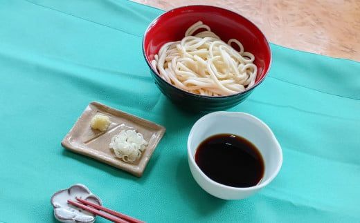 生うどん 100g×5人前×2セット | うどん 10人前 10食 セット 麺 麺類 辛汁 冷凍 茨城県 守谷市