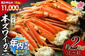 かに【2025 年内配送】 ボイル済み 本ずわいがに 脚 3L～4L 総重量 2kg [カネダイ 宮城県 気仙沼市 20564764] カニ 蟹 ズワイガニ ずわい蟹 ズワイ蟹 ずわい ズワイ 海鮮 魚介類 カニ脚 蟹脚 足 ボイル ご褒美