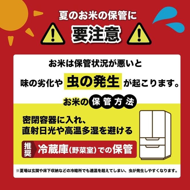 令和7年産 コシヒカリ 選べる 5kg 10kg お米 白米 精米 新米 数量限定 スピード発送 ごはん ご飯 高知県産 弁当 こしひかり おにぎり 料理 令和7年 R7年 美味しい 美味 うまい 甘み ツヤ 粒立ち 冷めても美味しい 土佐 自然豊か 温暖 清らかな水 山 丹精込めて育てた 食卓 家庭 贈り物 ギフト プレゼント 炊飯 おかず 和食 日本食 郷土料理 安芸市 高知県