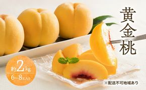 桃 2026年 先行予約 黄金桃 2kg 6～8玉 もも モモ 岡山 国産 フルーツ 果物 ギフト 桃茂実苑