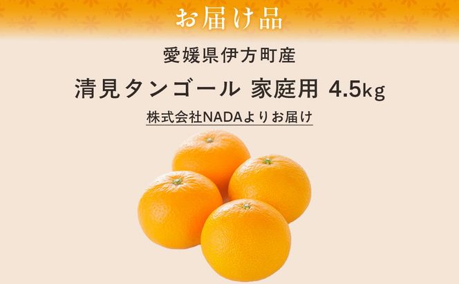 【先行予約】【農家直送】愛媛県産 清見タンゴール 家庭用 4.5kg（2027年3月上旬～4月下旬に順次発送予定）IKTC021
