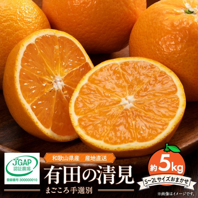 【2027年先行予約】和歌山県産 有田の 清見 5kg (S～2Lサイズ)（サイズおまかせ）（まごころ手選別）_ZE6114n
