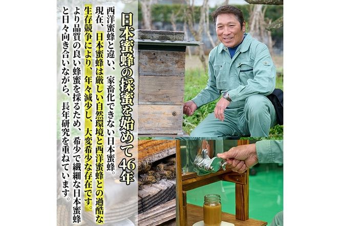 ＜期間限定・数量限定＞幻の蜂蜜（1本・260g）ハチミツ 蜂蜜 日本蜜蜂 ハニー 国産 日本ミツバチ 非加熱 純粋【YH-1】【安田蜂蜜】