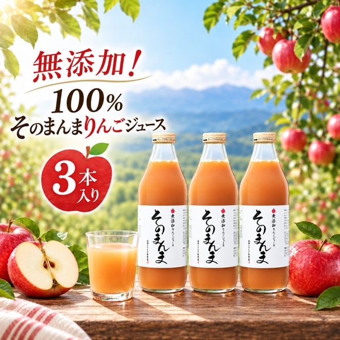 りんごジュース 無添加！ 100% そのまんま りんごジュース 3本入り | 飲料 ジュース 果実飲料 りんご ジュース 無添加 ストレート 長野県 伊那市 【012-89】