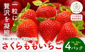 いちご 佐那河内村限定 さくらももいちご 4パック入り JA徳島市佐那河内支所 ふる里産品推進協議会《1月上旬-3月末頃に出荷(土日祝除く)》徳島県 佐那河内村【配送不可地域あり】※離島 | ブランドいちご 産地直送 ギフト大賞 ジューシー---sanagouchi_hss_6_4p---
