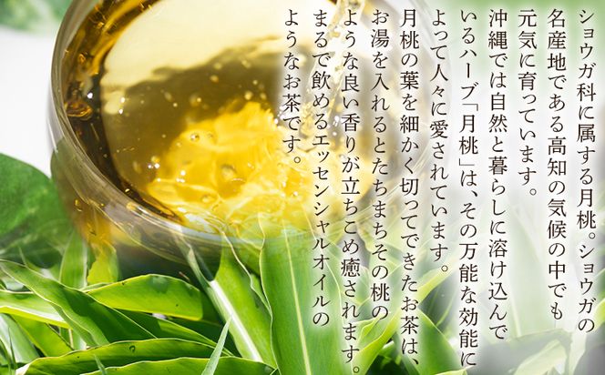 ハーブ 月桃ブレンドハーブティー"チルアウト" 36袋 - お茶 飲み物 ティーバッグ 茶葉 のし ギフト 父の日 母の日 お礼 御礼 GreenBase 高知県 香南市 gr-0137