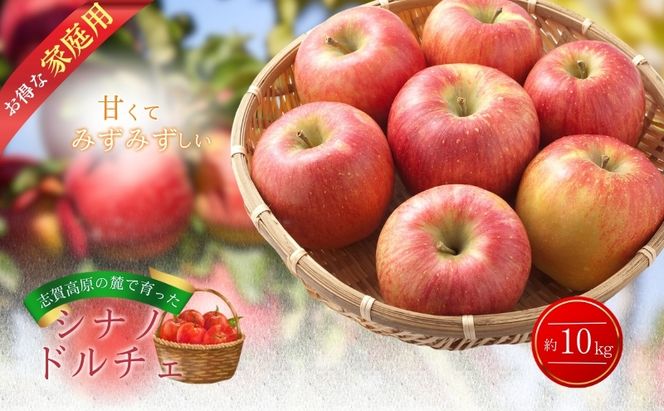 【2026年発送】志賀高原の麓で育った シナノドルチェ （家庭用）約10kg りんご 10kg フルーツ 長野