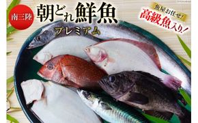 鮮魚 詰め合わせ 朝どれ鮮魚BOX プレミアム 下処理済み [さかなのみうら 宮城県 南三陸町 30aj0008] 魚 旬 朝とれ 産地直送