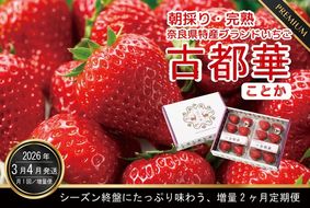 3・4月増量発送 各4パック、計8パック発送 奈良県特産 高級ブランドいちご「古都華」の２ヶ月定期便