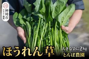 【先行受付 10月より順次発送】ほうれん草 2kg バラ詰め（大きな袋に2kg）【ハウス栽培 産地直送 クール便 佐賀県脊振山麓産】(H091117)